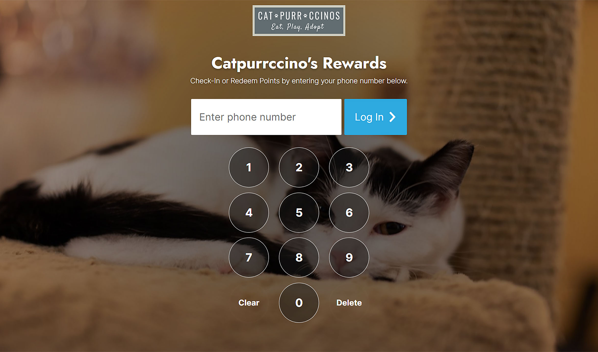 Catpurrccinos Rewards